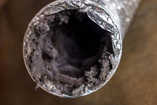 Best Affordable Duct Cleaning Services  in South Brooksville, FL