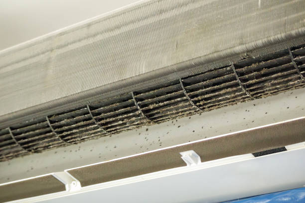 Best HVAC Maintenance and Cleaning  in South Brooksville, FL