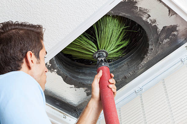 Best Air Duct Cleaning Company Near Me  in South Brooksville, FL